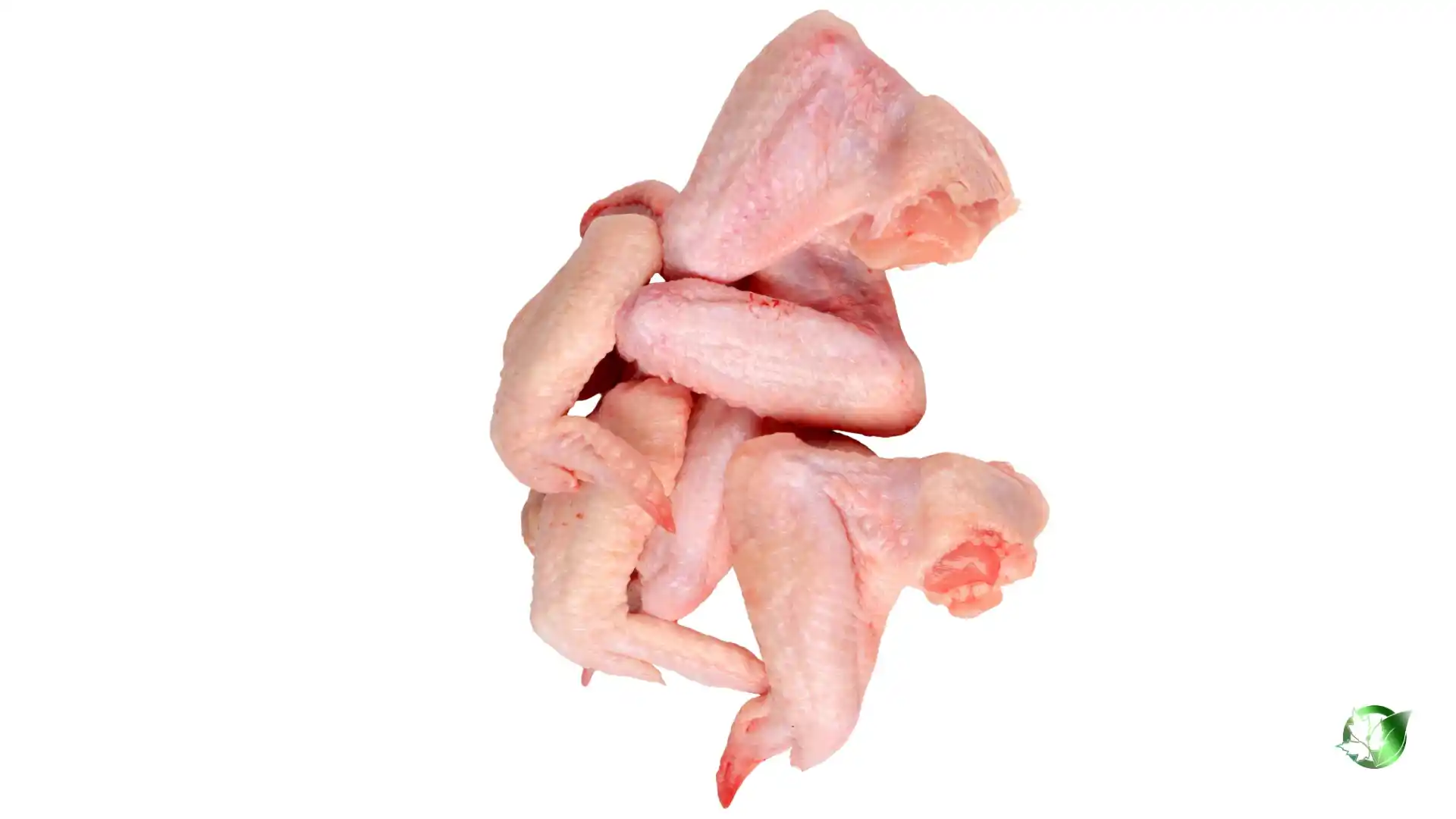 Bulk Chicken Wings | Suppliers | Wholesale | ParsaFood Global